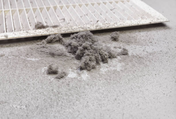 Best Ductwork Cleaning Services  in Sardis City, AL