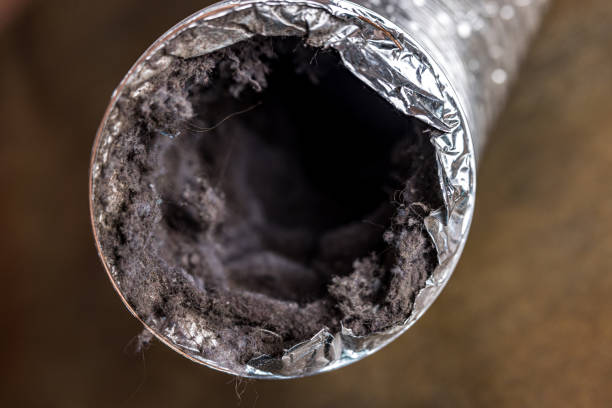 Best Professional Duct Cleaning Services  in Sardis City, AL
