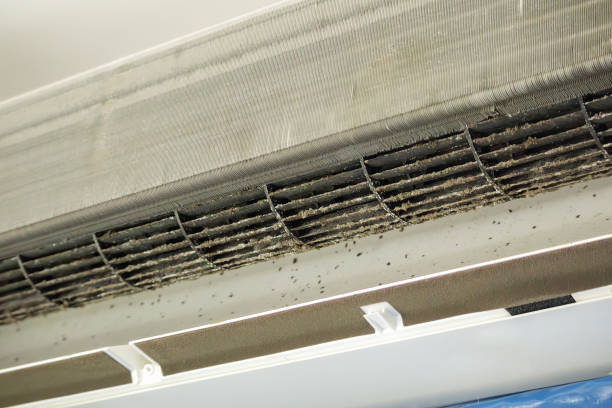 Best Commercial Air Duct Cleaning  in Sardis City, AL